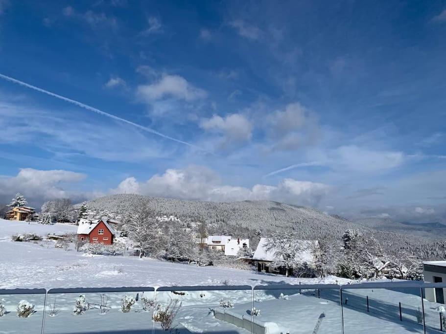 Gite "Villa Belle Vie" Labaroche Bagian luar foto