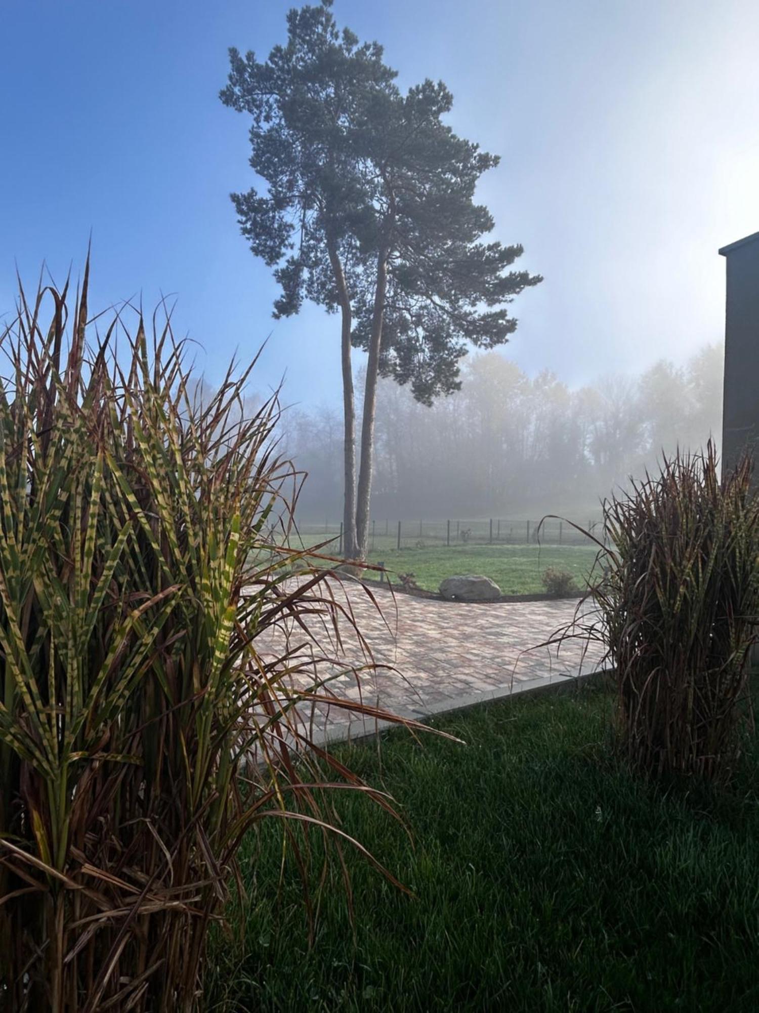Gite "Villa Belle Vie" Labaroche Bagian luar foto